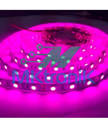 1 METRO / LED 5050 PARA EXTERIOR 12V / TIRA