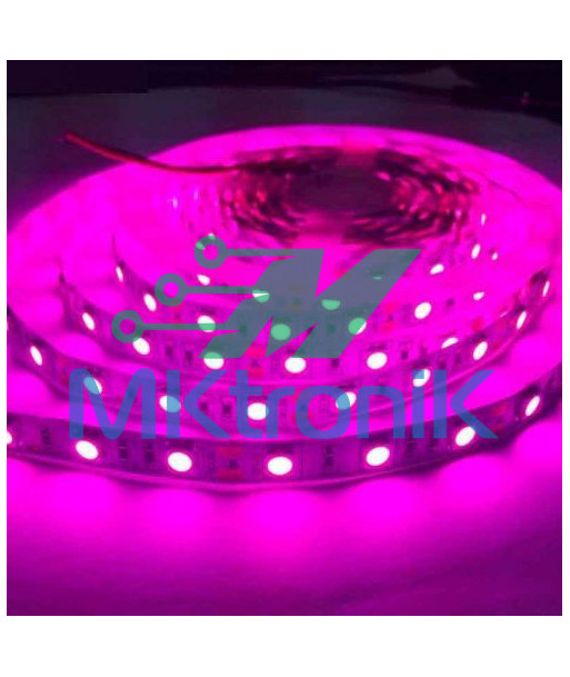 1 METRO / LED 5050 PARA INTERIOR 12V / TIRA